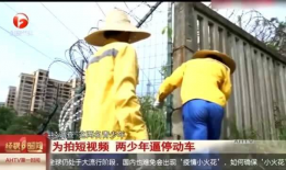 靠逼短视频,靠逼短视频背后的故事与启示