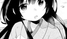 日本黑白漫画大全,黑白世界中的艺术与情感之旅